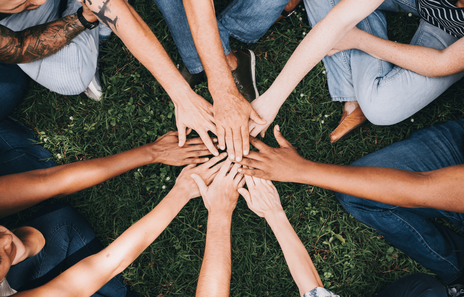Group of diverse hands