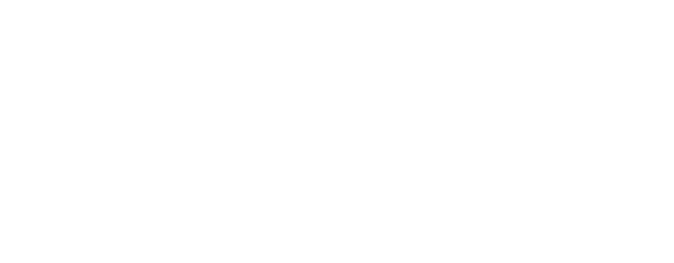 logo for 3G