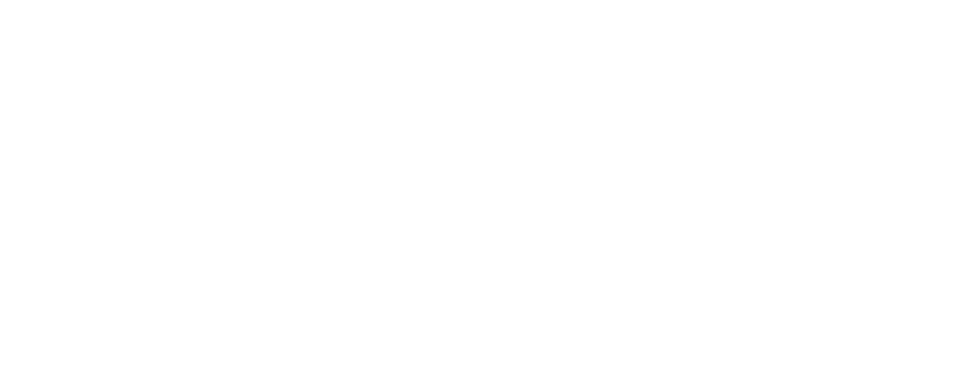 logo for Bitfreighter