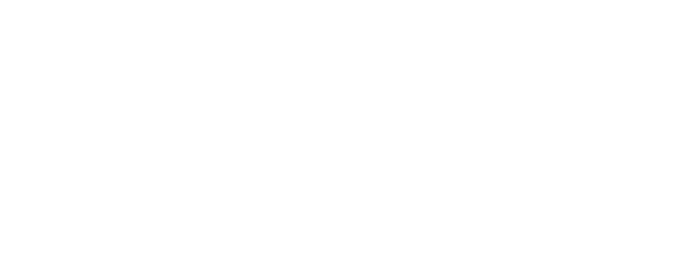 logo for Cargo Chief