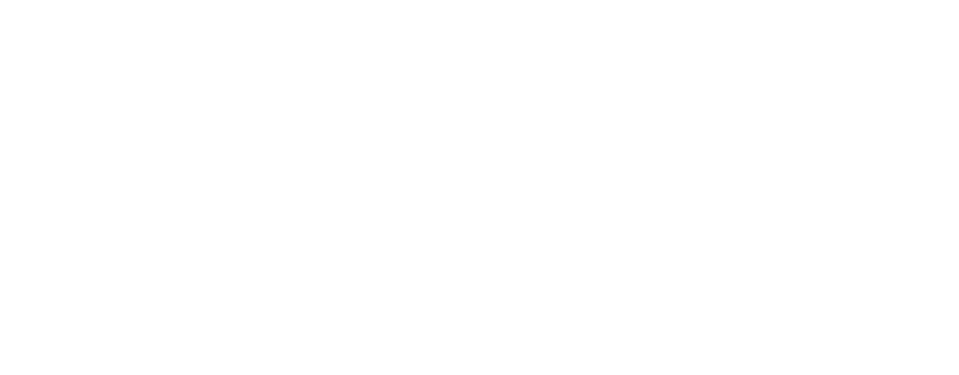 logo for Everest