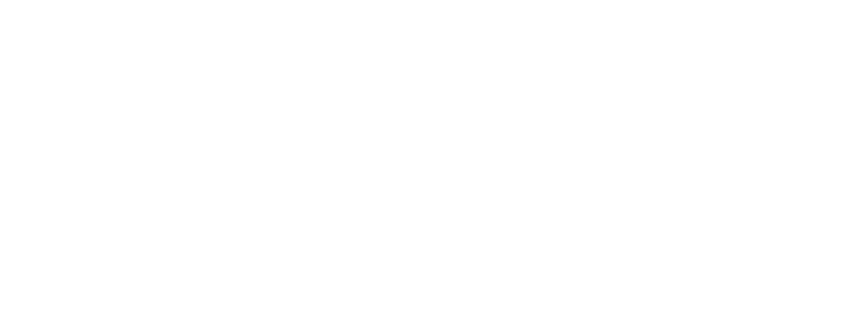 logo for levity