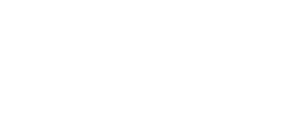 logo for Turvo
